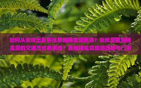 如何从安庆出发前往恩施腾龙洞旅游？安庆至恩施腾龙洞的交通方式有哪些？恩施腾龙洞旅游攻略与门票信息？