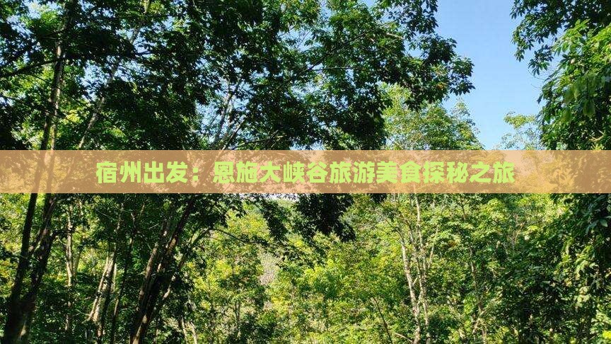宿州出发：恩施大峡谷旅游美食探秘之旅