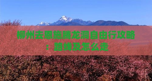 柳州去恩施腾龙洞自由行攻略：路线及怎么走