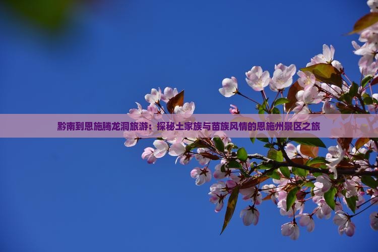 黔南到恩施腾龙洞旅游：探秘土家族与苗族风情的恩施州景区之旅
