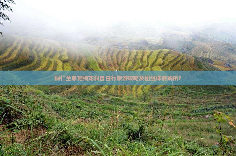 铜仁至恩施腾龙洞自由行旅游攻略及团组详情解析？