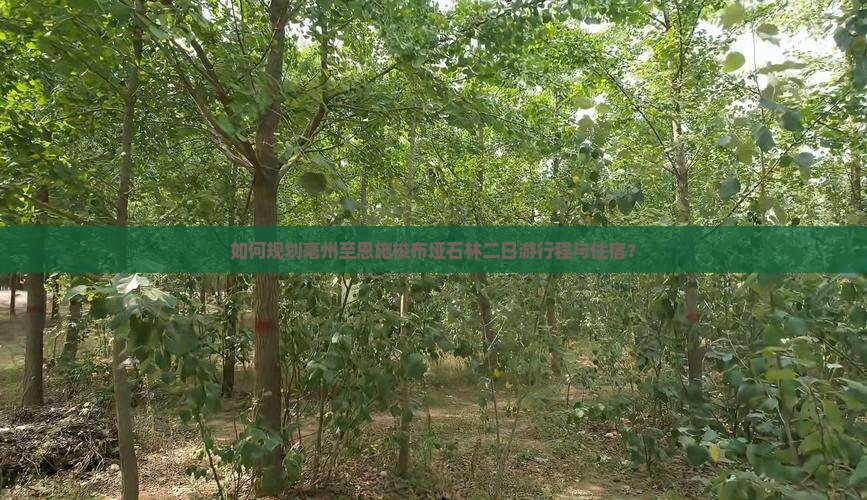 如何规划亳州至恩施梭布垭石林二日游行程与住宿？