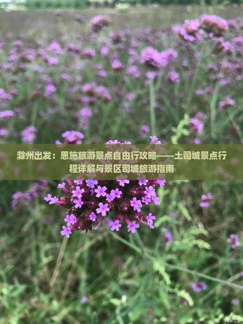 滁州出发：恩施旅游景点自由行攻略——土司城景点行程详解与景区司城旅游指南