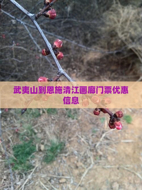 武夷山到恩施清江画廊门票优惠信息