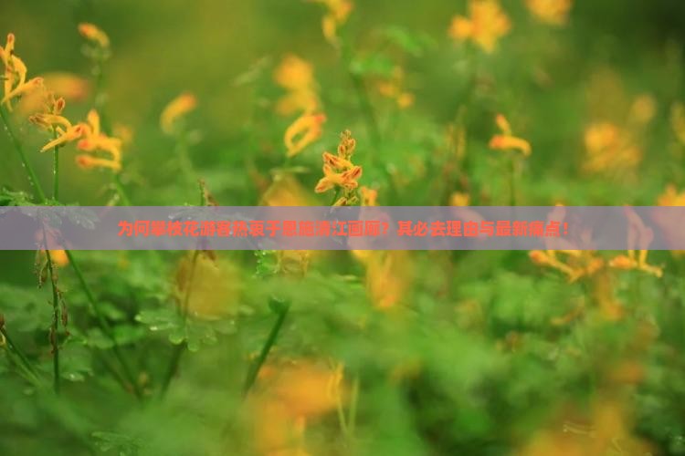 为何攀枝花游客热衷于恩施清江画廊？其必去理由与最新痛点！