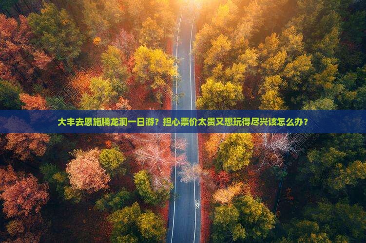 大丰去恩施腾龙洞一日游？担心票价太贵又想玩得尽兴该怎么办？