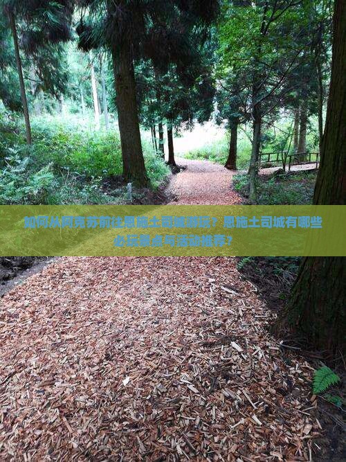 如何从阿克苏前往恩施土司城游玩？恩施土司城有哪些必玩景点与活动推荐？