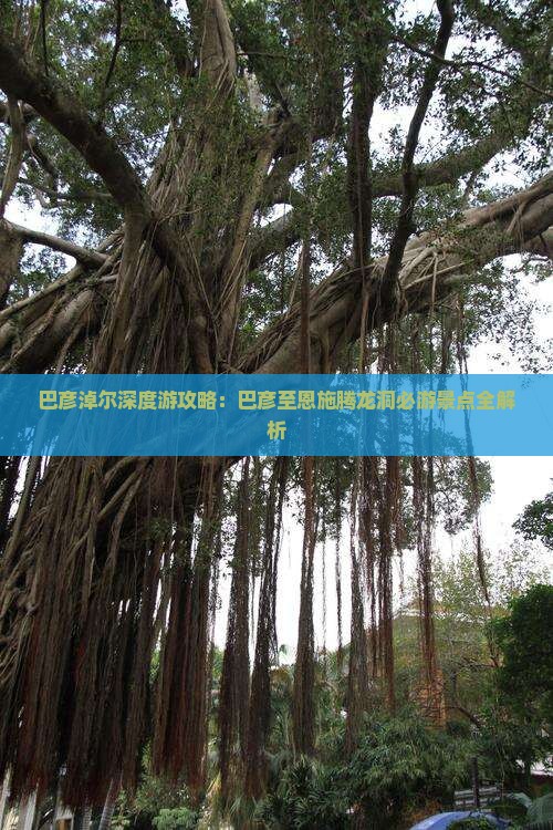 巴彦淖尔深度游攻略：巴彦至恩施腾龙洞必游景点全解析