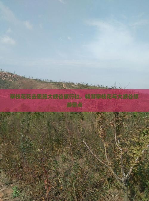 攀枝花花去恩施大峡谷旅行社，畅游攀枝花与大峡谷旅游景点