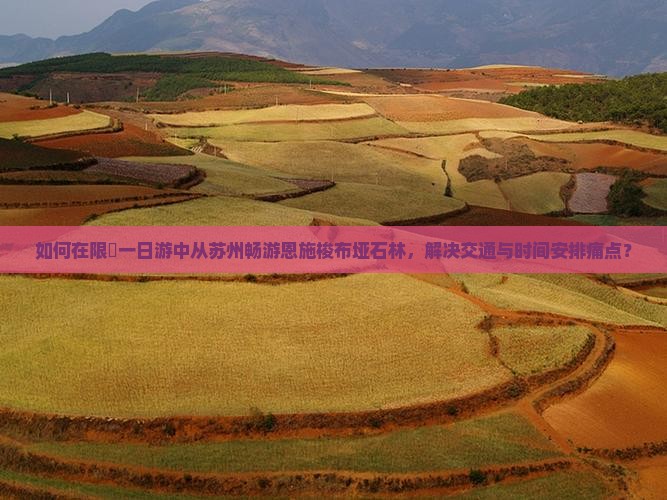 如何在限時一日游中从苏州畅游恩施梭布垭石林，解决交通与时间安排痛点？