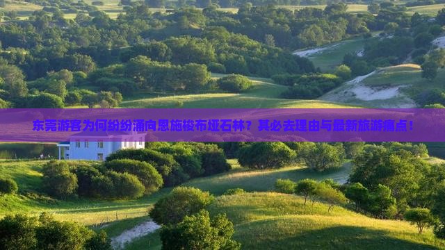东莞游客为何纷纷涌向恩施梭布垭石林？其必去理由与最新旅游痛点！
