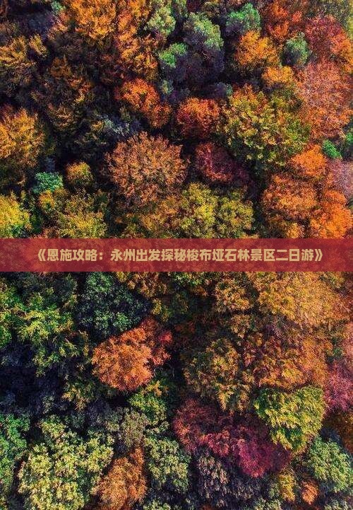 《恩施攻略：永州出发探秘梭布垭石林景区二日游》