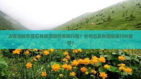 去恩施梭布垭石林旅游如何安排行程？忻州出发有哪些旅行社推荐？