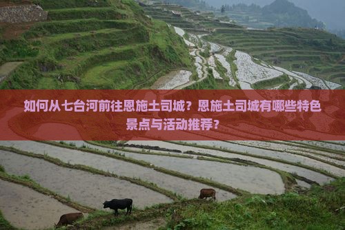 如何从七台河前往恩施土司城？恩施土司城有哪些特色景点与活动推荐？