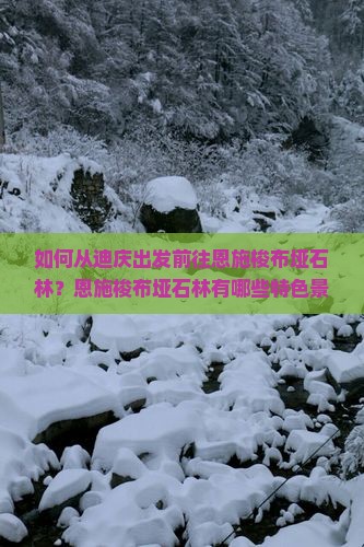 如何从迪庆出发前往恩施梭布垭石林？恩施梭布垭石林有哪些特色景点与活动推荐？