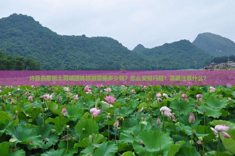 许昌去恩施土司城团体旅游需要多少钱？怎么安排行程？需要注意什么？