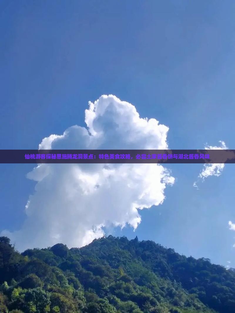 仙桃游客探秘恩施腾龙洞景点：特色美食攻略，必尝土家酱香饼与湖北酱香风味