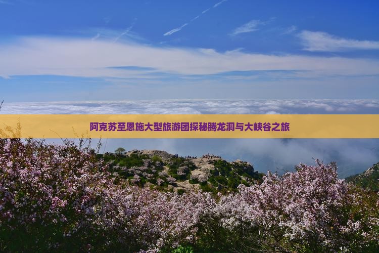 阿克苏至恩施大型旅游团探秘腾龙洞与大峡谷之旅