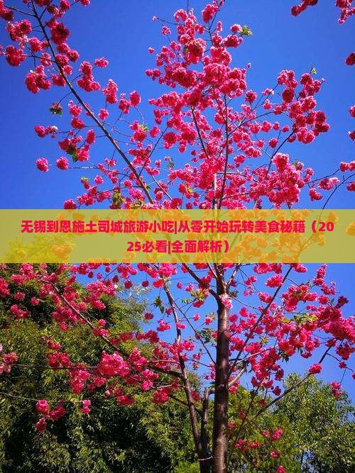 无锡到恩施土司城旅游小吃