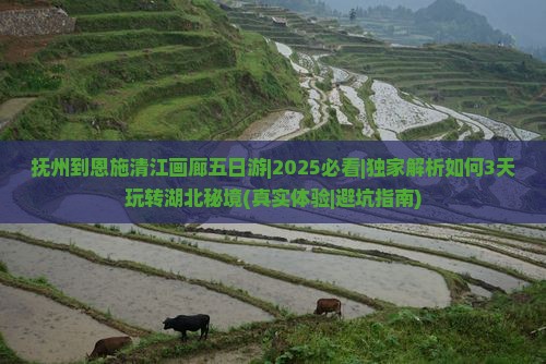 抚州到恩施清江画廊五日游
