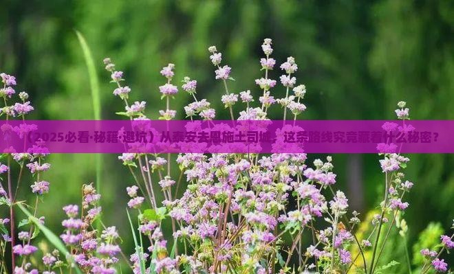泰安到恩施土司城必去地