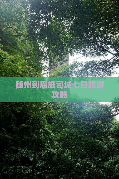 随州到恩施土司城七日游