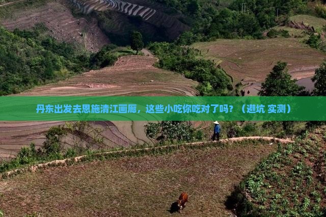 丹东去恩施清江画廊旅游小吃