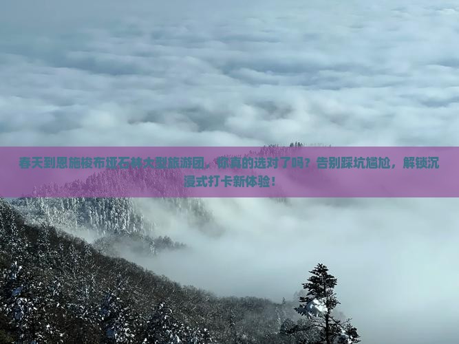 春天到恩施梭布垭石林大型旅游团