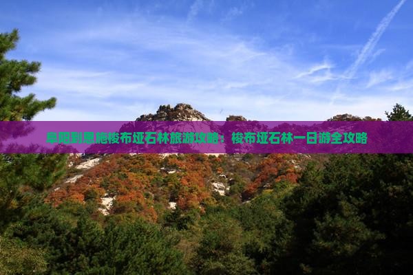 阜阳到恩施梭布垭石林一日