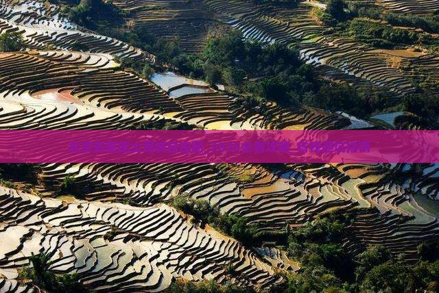 北京去恩施土司城自由团