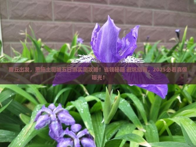 商丘去恩施土司城五日游
