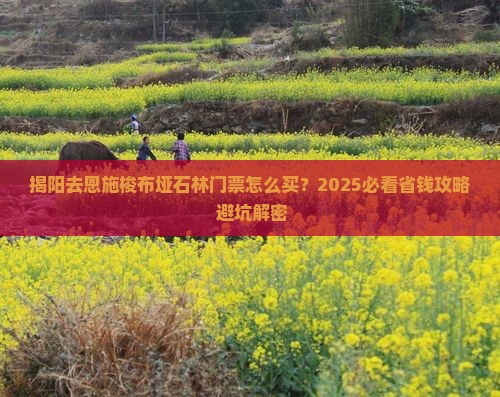 揭阳去恩施梭布垭石林门票