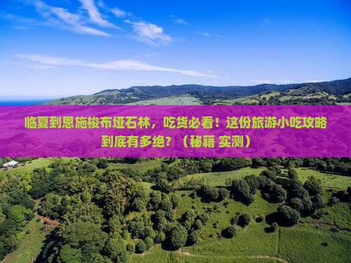 临夏到恩施梭布垭石林旅游小吃