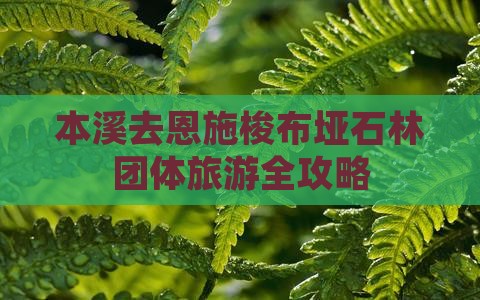 本溪去恩施梭布垭石林团体旅游
