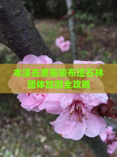 本溪去恩施梭布垭石林团体旅游