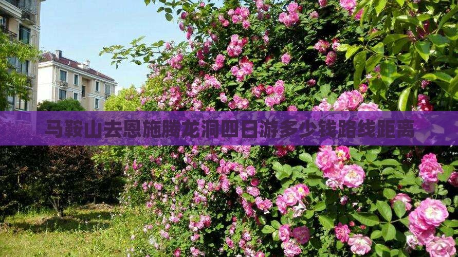 马鞍山去恩施腾龙洞四日游多少钱路线距离