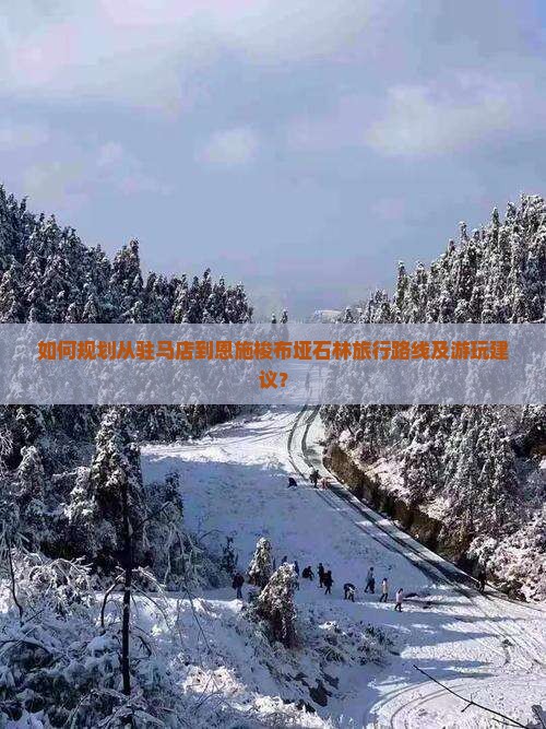 如何规划从驻马店到恩施梭布垭石林旅行路线及游玩建议？