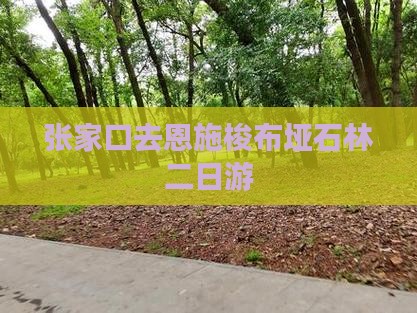 张家口去恩施梭布垭石林二日游