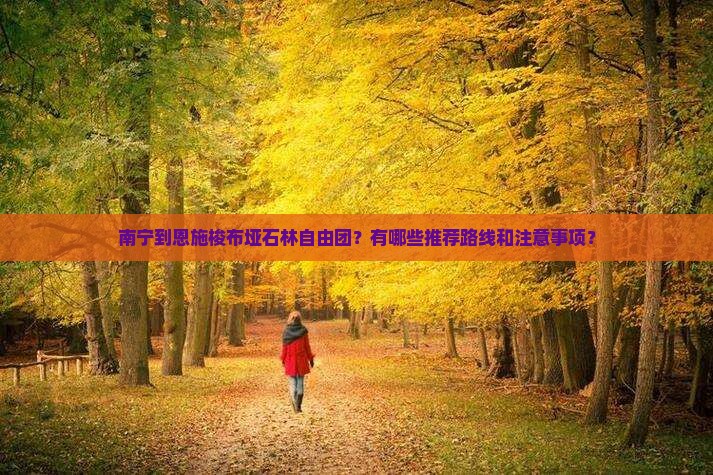 南宁到恩施梭布垭石林自由团?有哪些推荐路线和注意事项? 南宁到恩施梭布垭石林自由团?有哪些推荐路线和注意事项?