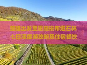 楚雄出发至恩施梭布垭石林七日深度游攻略及住宿餐饮推荐？