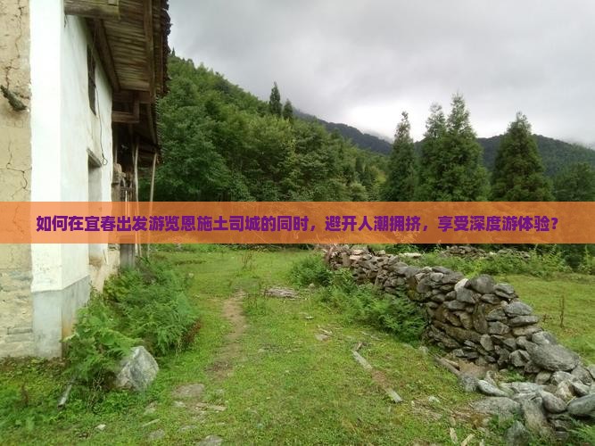 如何在宜春出发游览恩施土司城的同时，避开人潮拥挤，享受深度游体验？