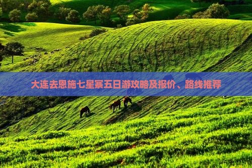 大连去恩施七星寨五日游攻略及报价、路线推荐