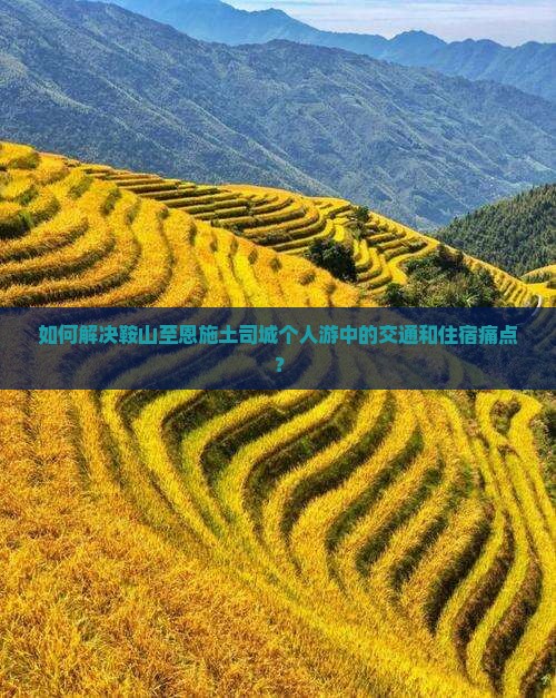 如何解决鞍山至恩施土司城个人游中的交通和住宿痛点？