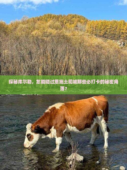 探秘库尔勒，怎能错过恩施土司城那些必打卡的秘密角落？