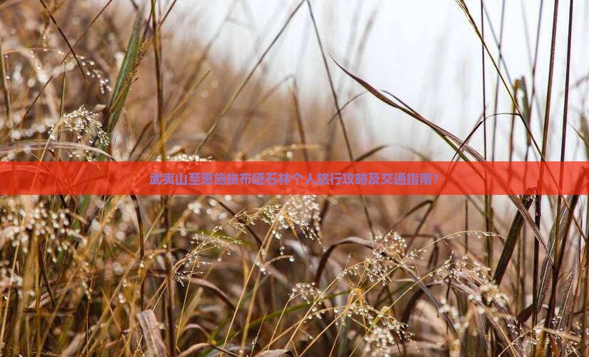 武夷山至恩施梭布垭石林个人旅行攻略及交通指南？