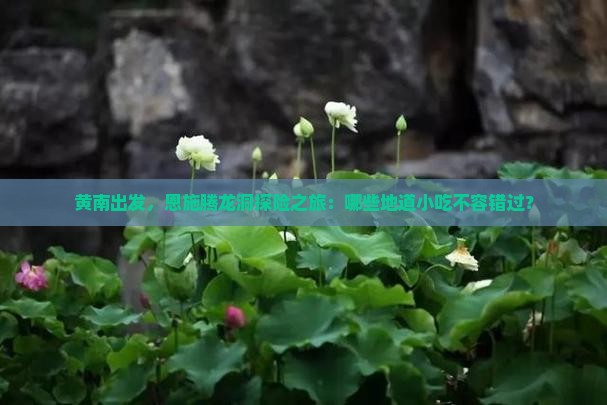 黄南出发，恩施腾龙洞探险之旅：哪些地道小吃不容错过？