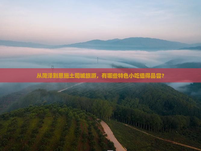 从菏泽到恩施土司城旅游，有哪些特色小吃值得品尝？