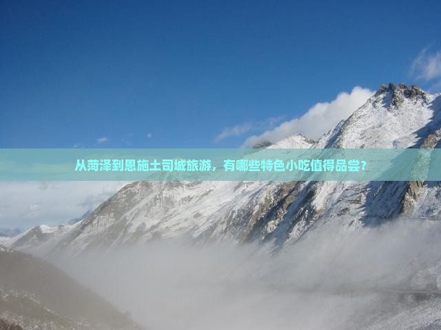 从菏泽到恩施土司城旅游，有哪些特色小吃值得品尝？