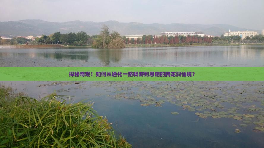 探秘奇观！如何从通化一路畅游到恩施的腾龙洞仙境？