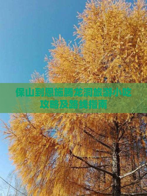 保山到恩施腾龙洞旅游小吃攻略及路线指南